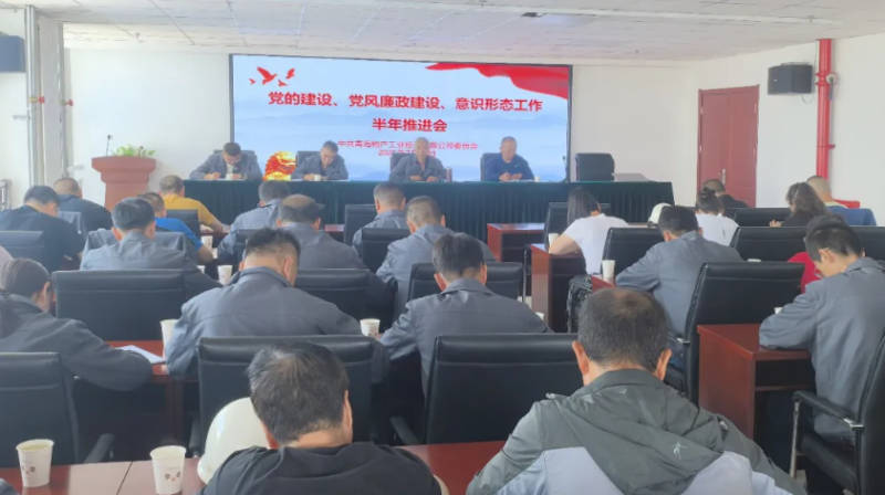工投公司黨委召開黨的建設、黨風廉政建設、意識形態工作半年推進會