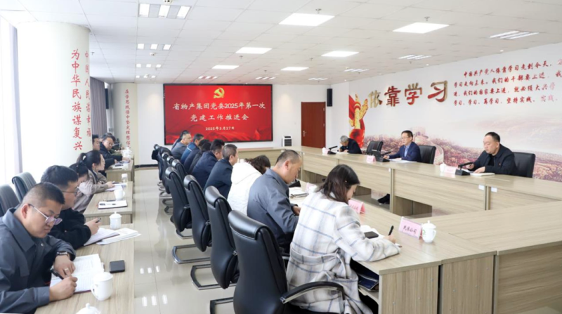 集團黨委召開2025年一季度黨建工作推進會